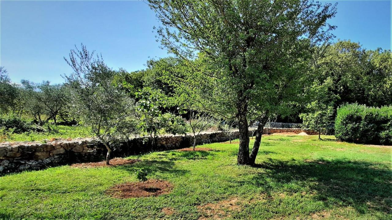 Holiday House Vela Vrta Sveti Ivan Dobrinjski المظهر الخارجي الصورة