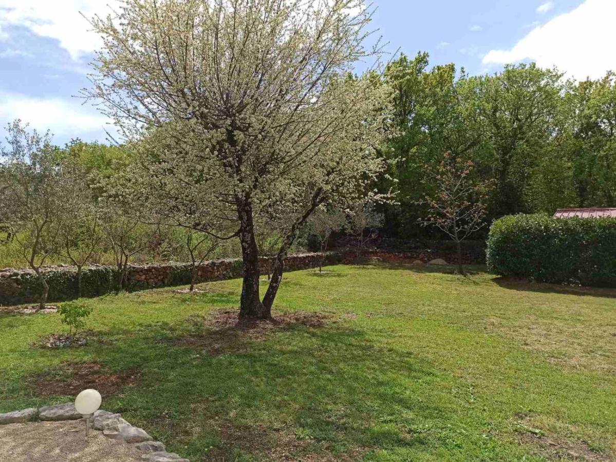 Holiday House Vela Vrta Sveti Ivan Dobrinjski المظهر الخارجي الصورة