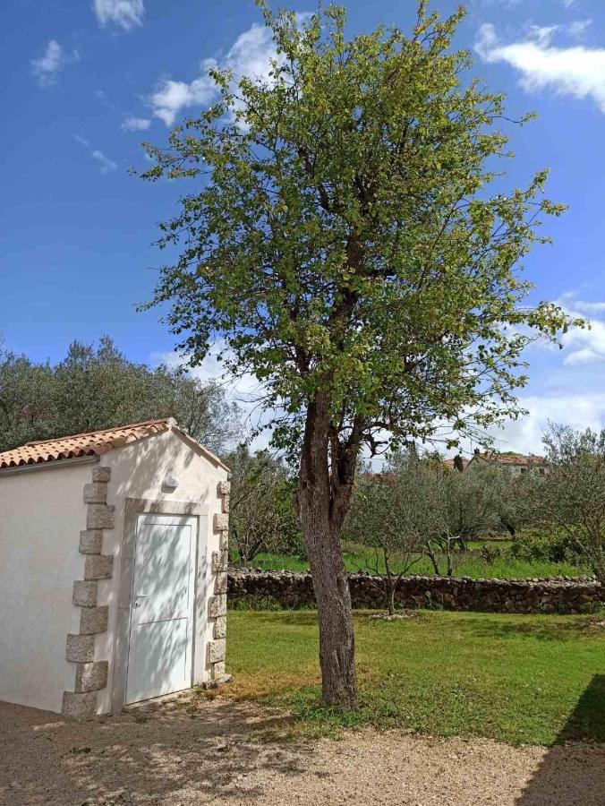 Holiday House Vela Vrta Sveti Ivan Dobrinjski المظهر الخارجي الصورة