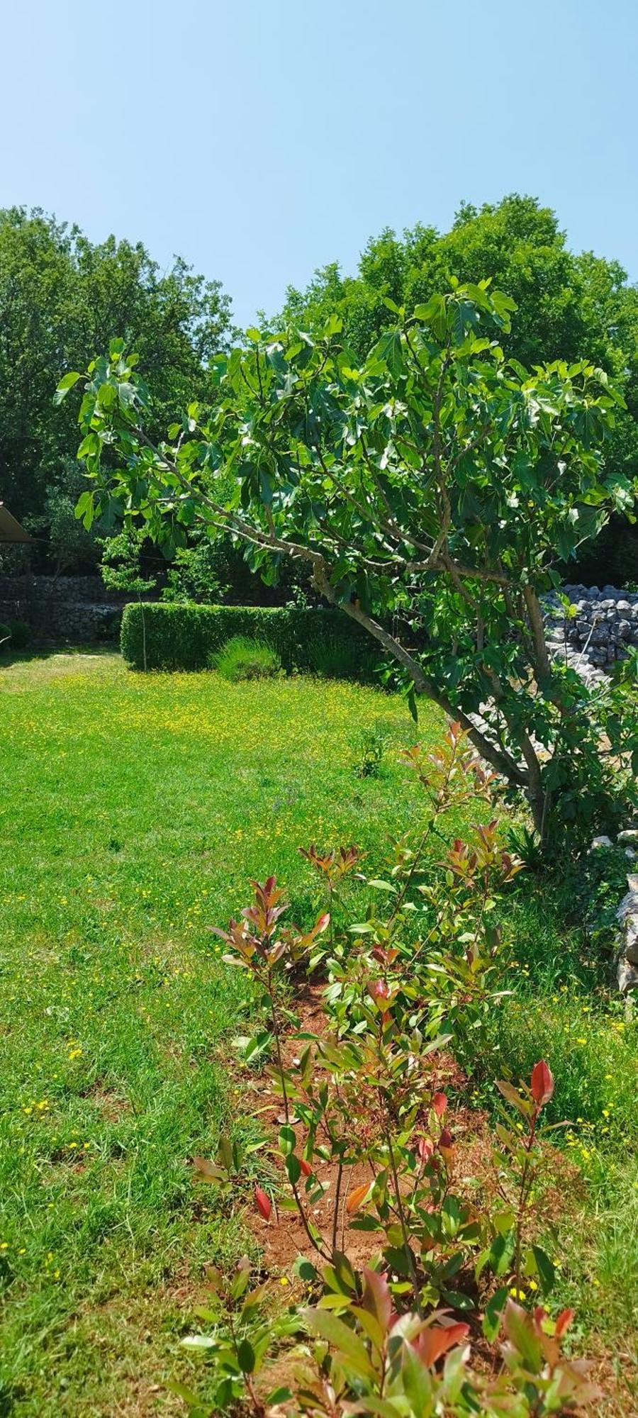 Holiday House Vela Vrta Sveti Ivan Dobrinjski المظهر الخارجي الصورة