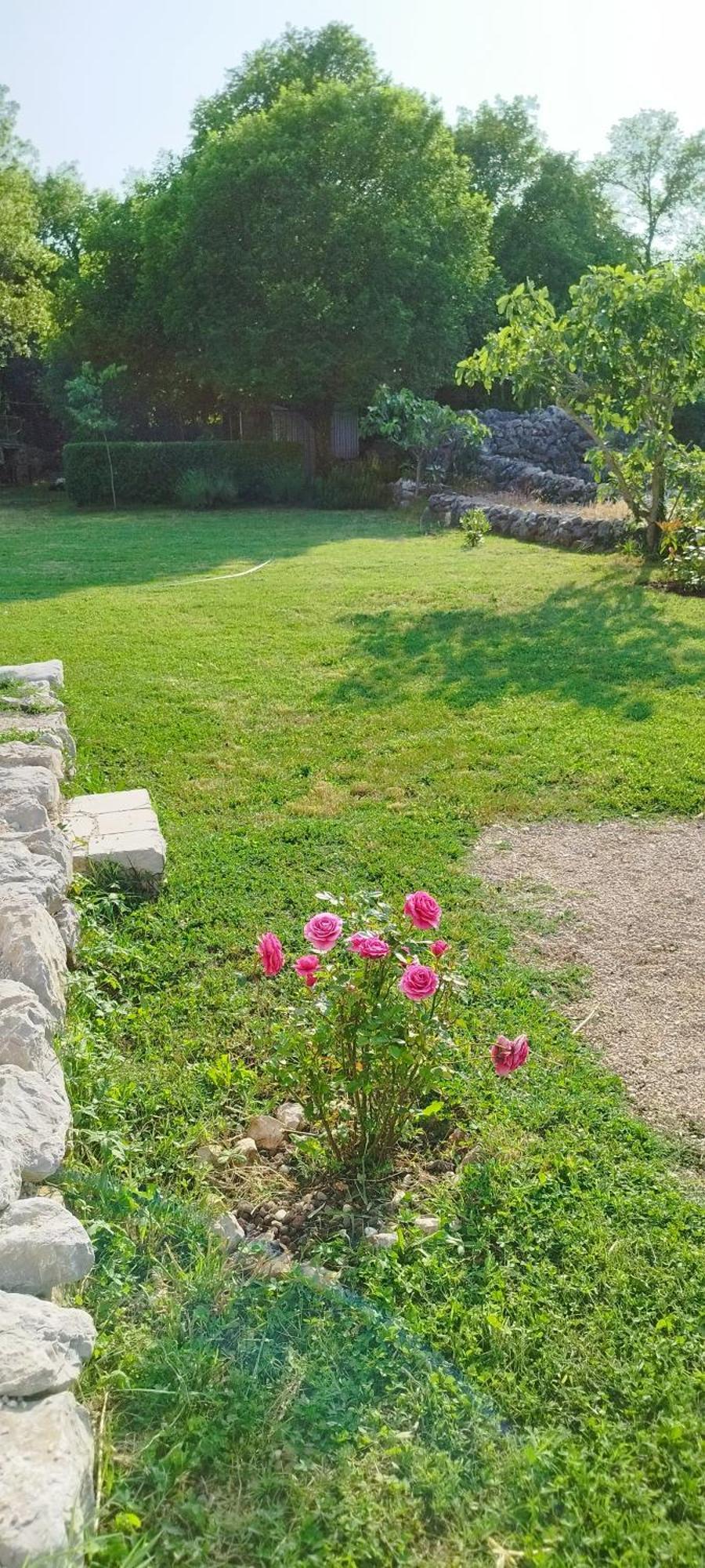 Holiday House Vela Vrta Sveti Ivan Dobrinjski المظهر الخارجي الصورة